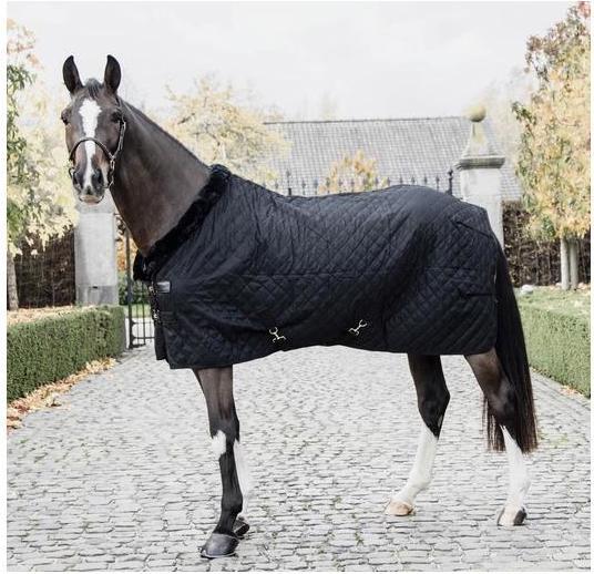Produktbild Kentucky Horsewear Stalldecke 0g (160 cm)