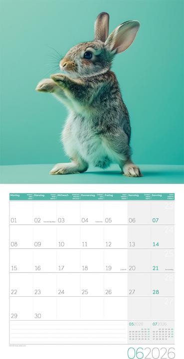 Produktbild Dancing Animals Kalender 2026