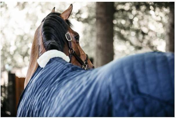 Produktbild Kentucky Horsewear Stalldecke 0g (140 cm)