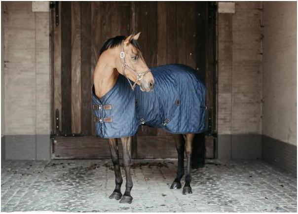 Produktbild Kentucky Horsewear Stalldecke 0g (140 cm)