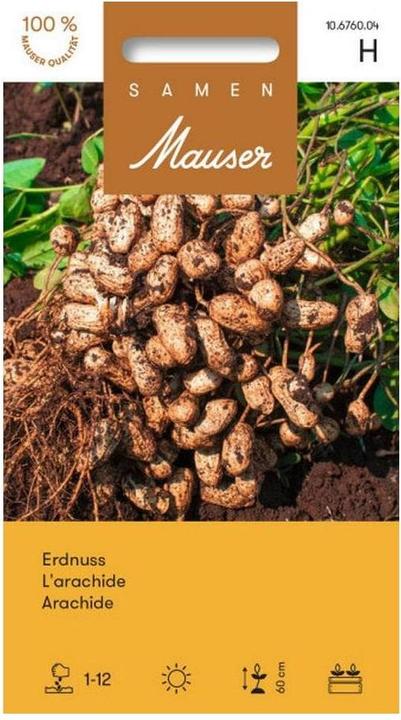 Produktbild Samen Mauser Samen Erdnuss