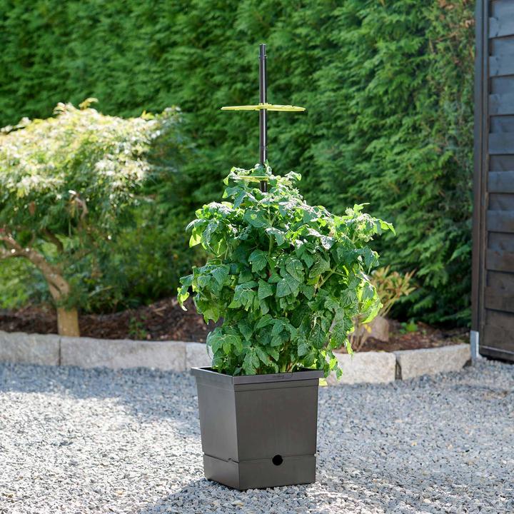 Produktbild Romberg Tomatentopf mit Selbstbewässerung und Rankhilfe – Recycelter Kunststoff, 17L Pflanztopf, Ide (26 cm)