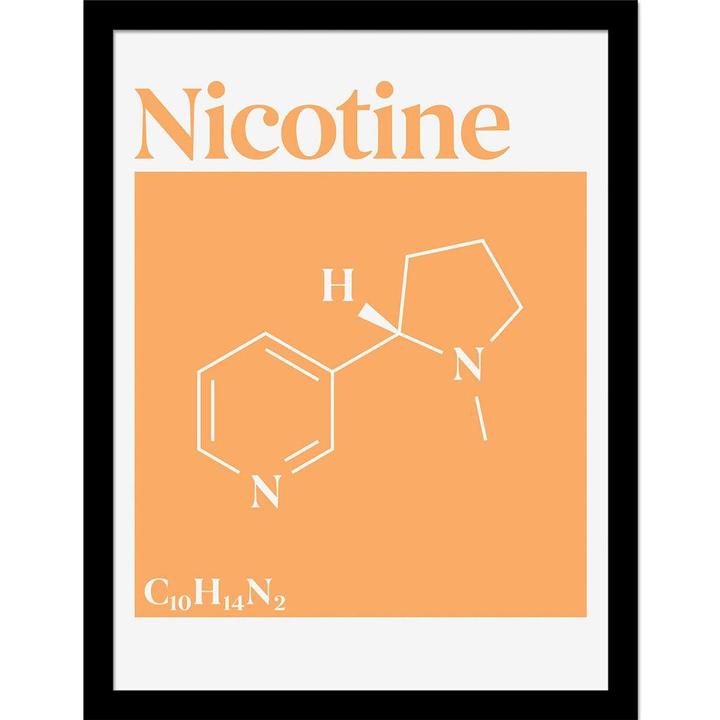 Drug Science Gerahmtes Poster Nicotine (40 x 30 cm)