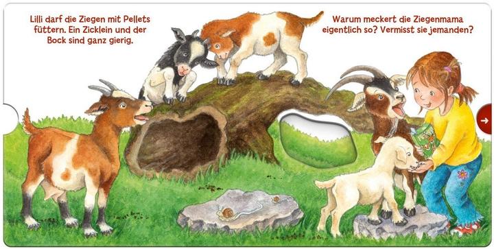 Produktbild Mein erstes Hör mal (Soundbuch ab 1 Jahr): Die Tierkinder (Deutsch, Kyrima Trapp, 2021)