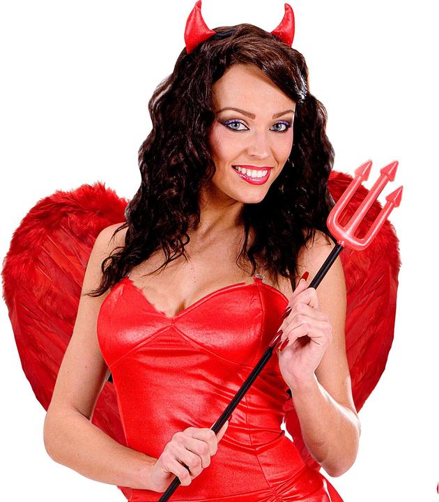 Image du produit Widmann Ailes d'ange