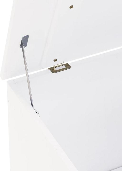 Actual product image vidaXL Himi (49 cm, 1x)