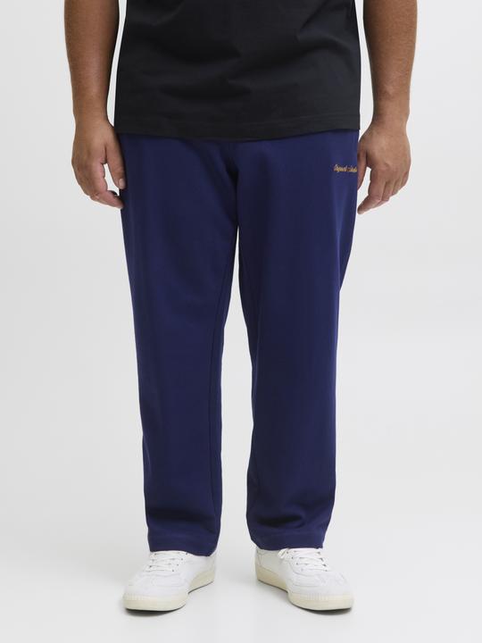 Actual product image Jack & Jones Plus Size Relaxed Fit Relaxed Fit Hosen Relaxed Fit Hosen (40)