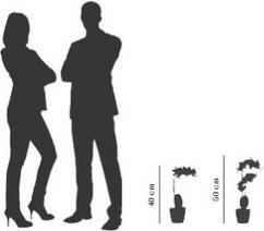 Image du produit Paperflow meet powered by ORCHIDEE Kunstpflanze 40,0 cm (40 cm)