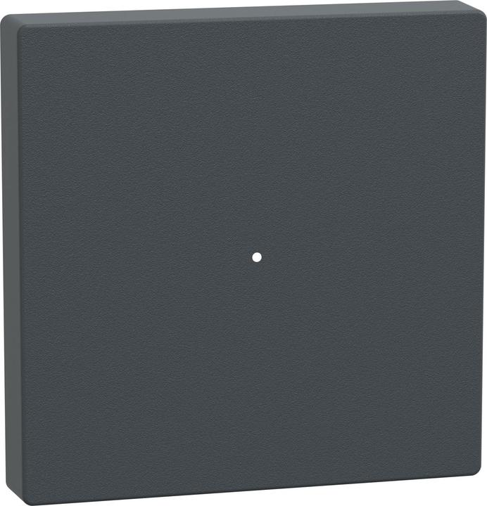 Actual product image Schneider Rocker for 1-gang push-button module, anthracite, System M MTN625114