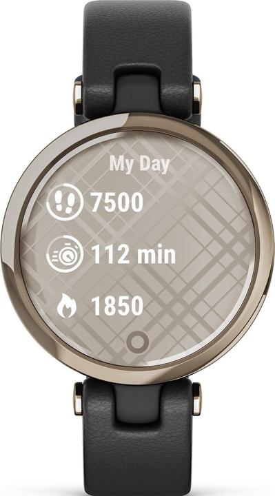 Produktbild Garmin Lily Classic Edition (34.50 mm)