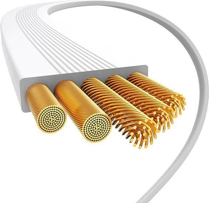 Produktbild Baseus Free2Draw Series USB-C zu USB-C (1 m, USB 2.0, 100 W)