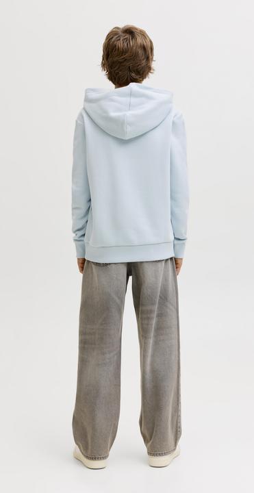 Immagine prodotto Jack & Jones Jjecaleb Varsity Sweat Hood Noos Jnr (152)