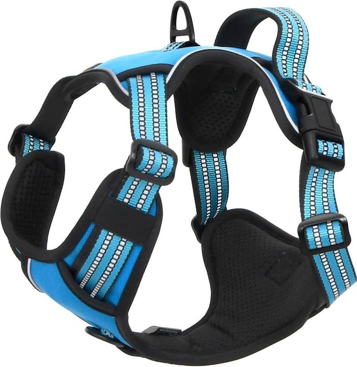 Actual product image vidaXL Hundegeschirr (L, Dog, General)