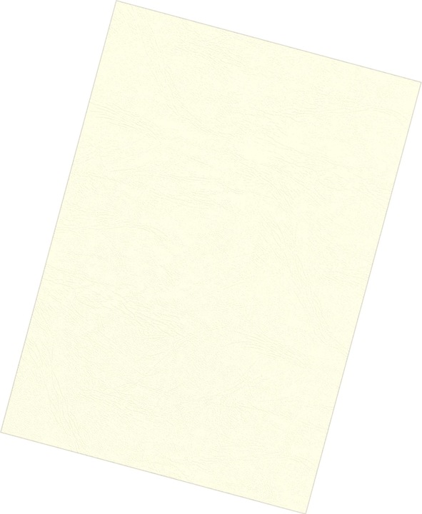 Produktbild Fellowes Delta Deckblatt mit Lederstruktur, elfenbein