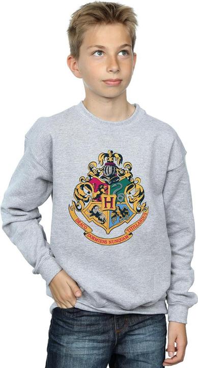 Image du produit - Sweat HOGWARTS CREST GOLD INK - Garçon (152, 158)