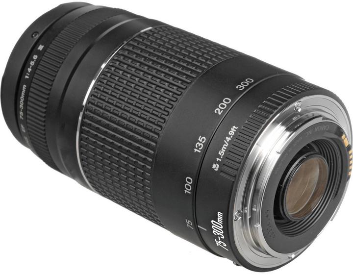 Image du produit Canon EF 75-300mm f/4.0-5.6 III (Canon EF, APS-C / DX)