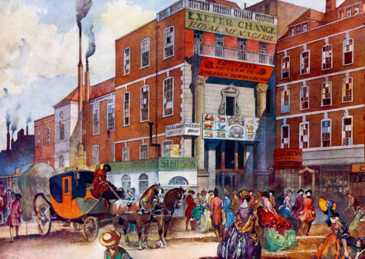 Image du produit Sinn und Sinnlichkeit (Allemand, Marjolein Bastin, Jane Austen, 2019)