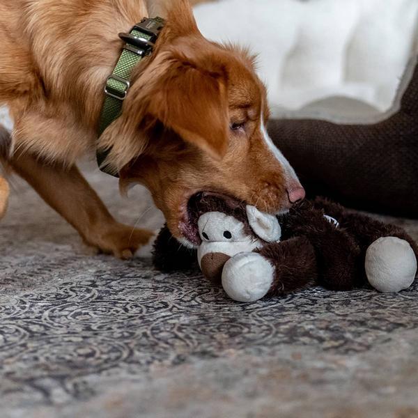 Actual product image Nobby Plush monkey (Plush toy dog)