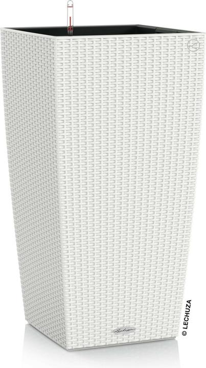 Immagine prodotto Lechuza Cubico Cottage (39.50 cm)