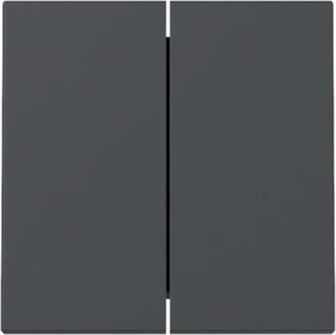 Gira Wippe 2f System 55 Anthrazit 329528
