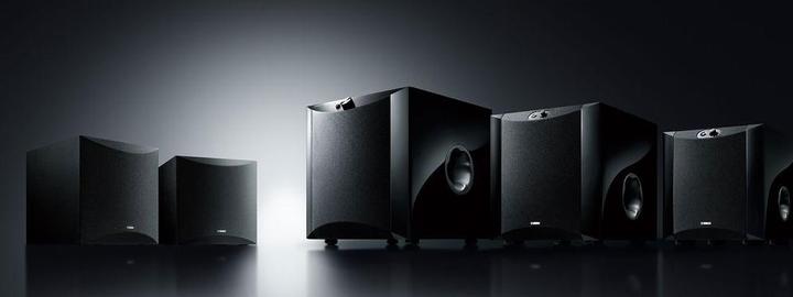 Image du produit Yamaha Ns-Sw050 (1 pièce, 50 W)