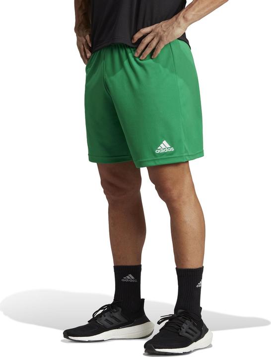 Actual product image adidas Entrada 22 Shorts (S)