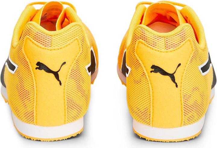 Image du produit Puma evoSPEED Star 8 (40.5)