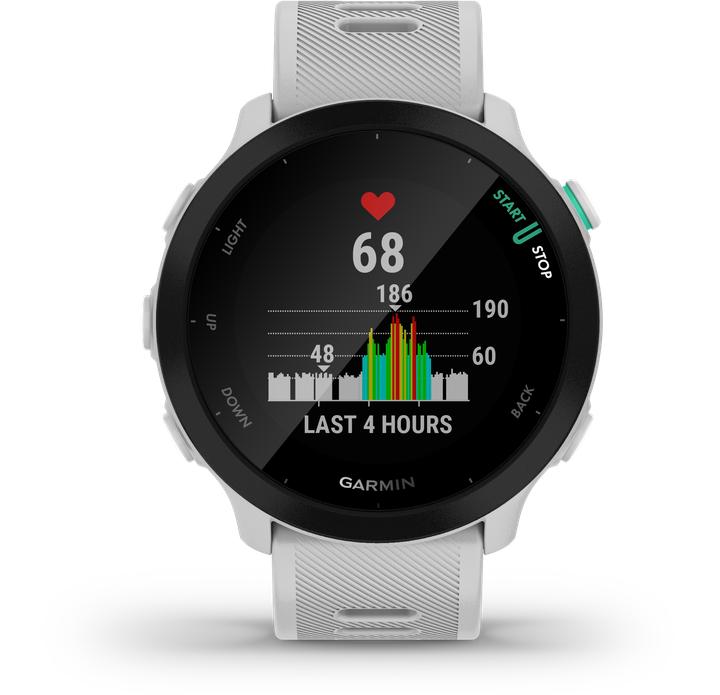 Actual product image Garmin Forerunner 55 (42 mm)