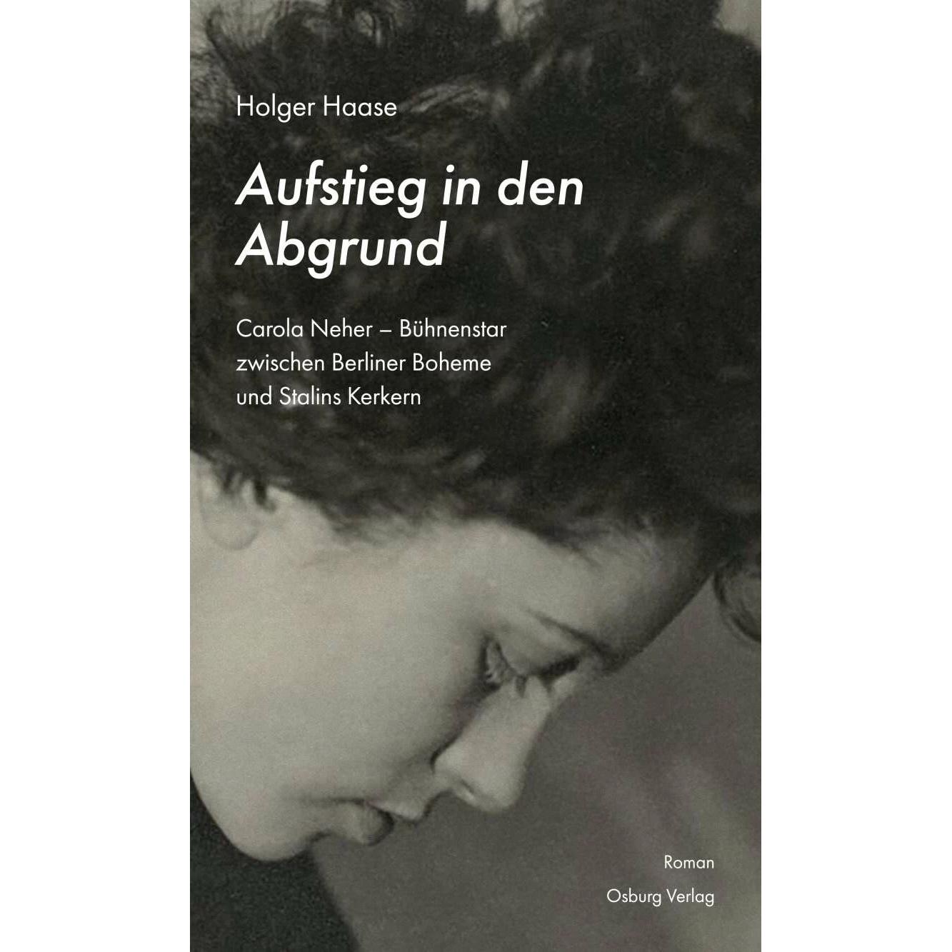 Thumbnail - Aufstieg in den Abgrund, Belletristik von Holger Haase