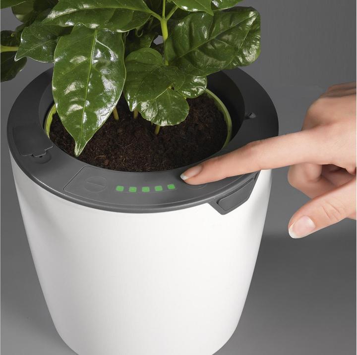 Produktbild Die Höhle der Löwen LazyLeaf