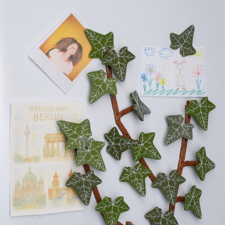 Produktbild Hermex 23-tlg. 3D Efeu-Kühlschrankmagnet-Set Magnet Efeuranken-Deko (23x)