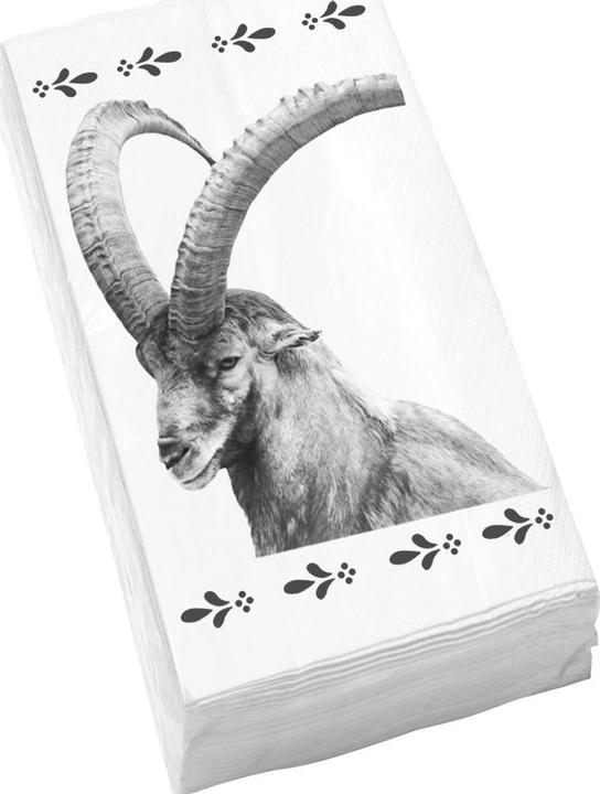 Produktbild Steinlin Papiertaschentücher (10 Stk., 21 x 21 cm)