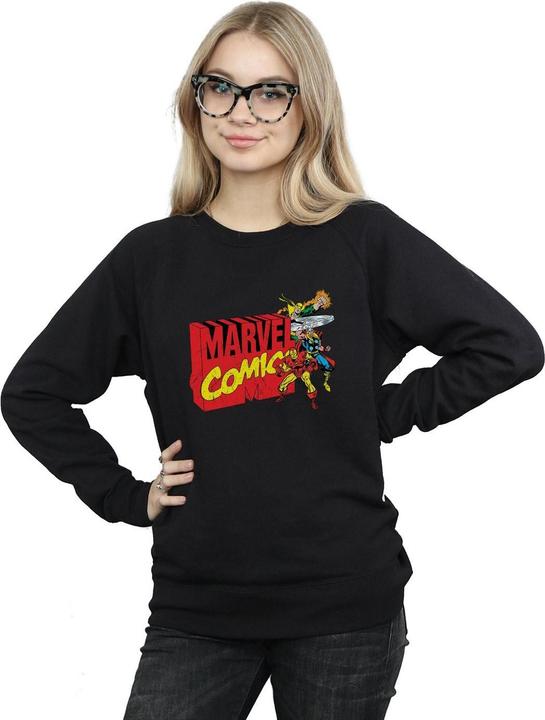 Produktbild Vintage Logo Blast Sweatshirt (M)