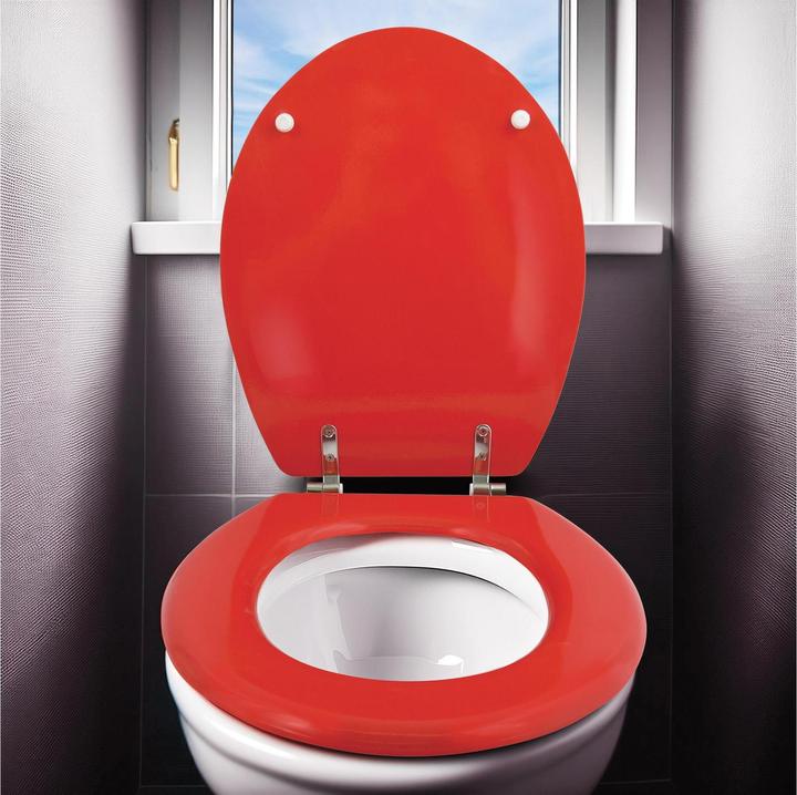 Produktbild MSV Cléo