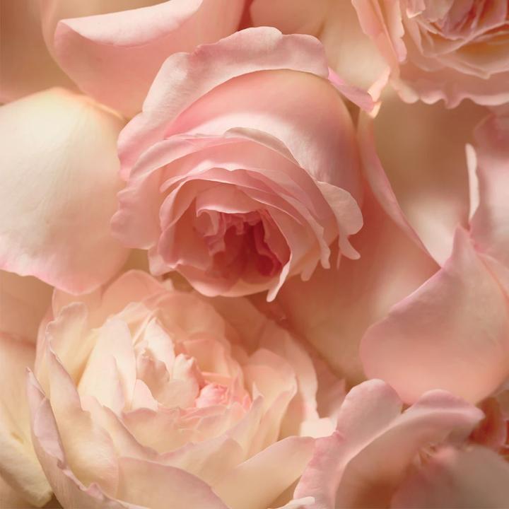 Actual product image Ralph Lauren Romance (Eau de parfum, 100 ml)