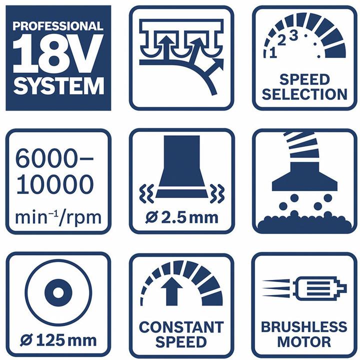 Actual product image Bosch Professional GEX 18V-125 (Eccentric grinder)