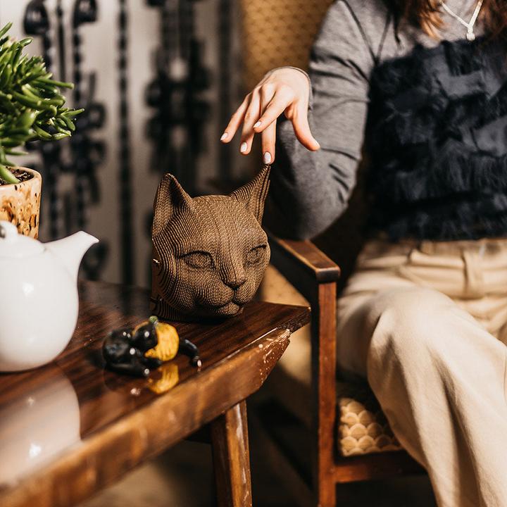 Image du produit Cartonic Chat - Modèle 3D en carton