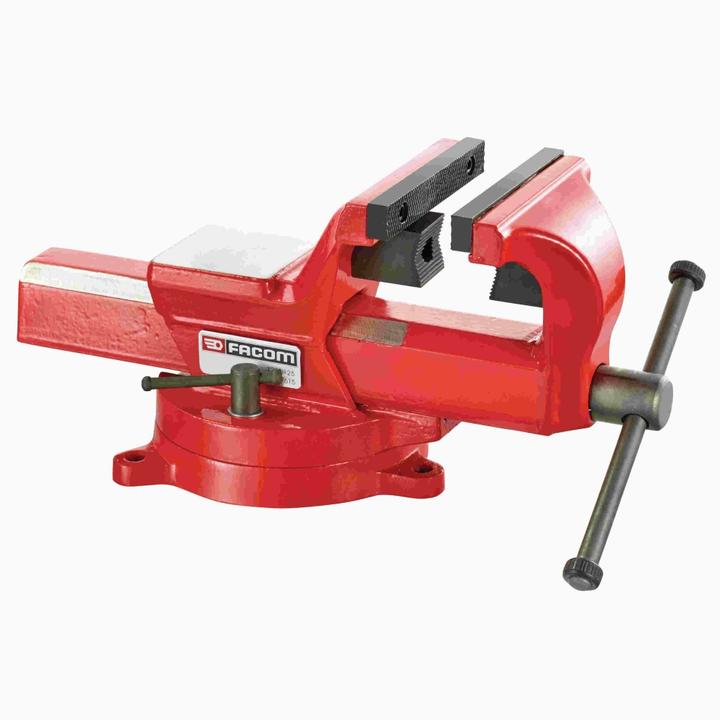 Actual product image Facom Vice for construction site and maintenance, 360° rotatable (200 mm)