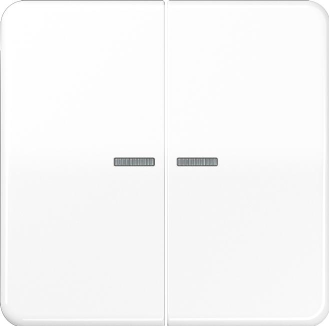Actual product image JUNG BTCD17102PGR HOME Push-button 2gang