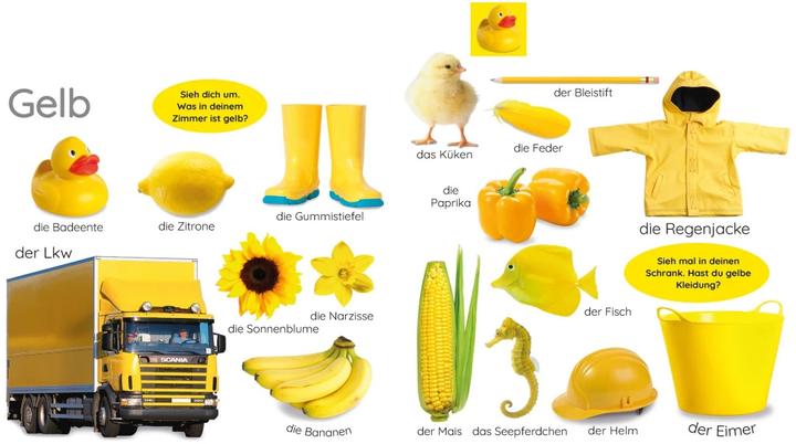 Actual product image First learning. Colours (German)