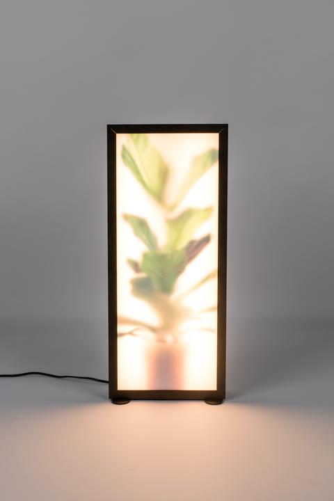 Actual product image Zuiver Grow (LED, 230 V)