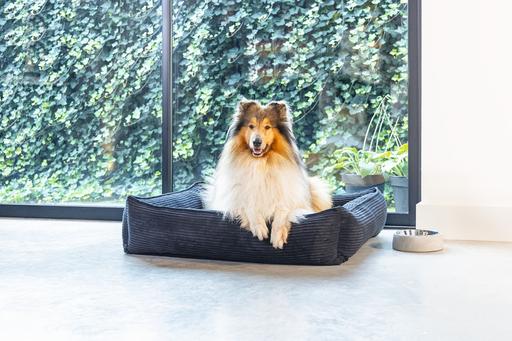 Actual product image Designed by Lotte Ribbed (Dog)