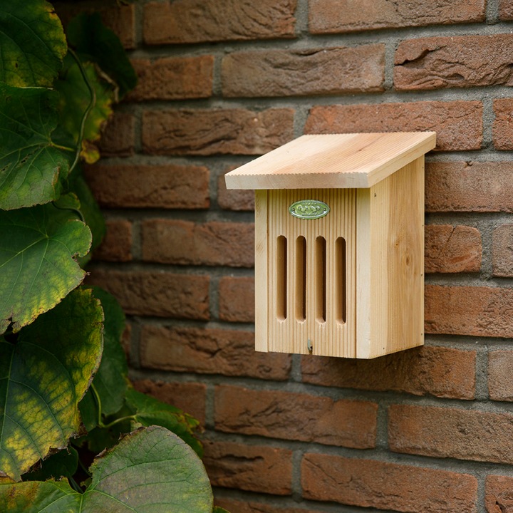 Immagine prodotto Esschert Design Casetta per farfalle pensile (Farfalle)