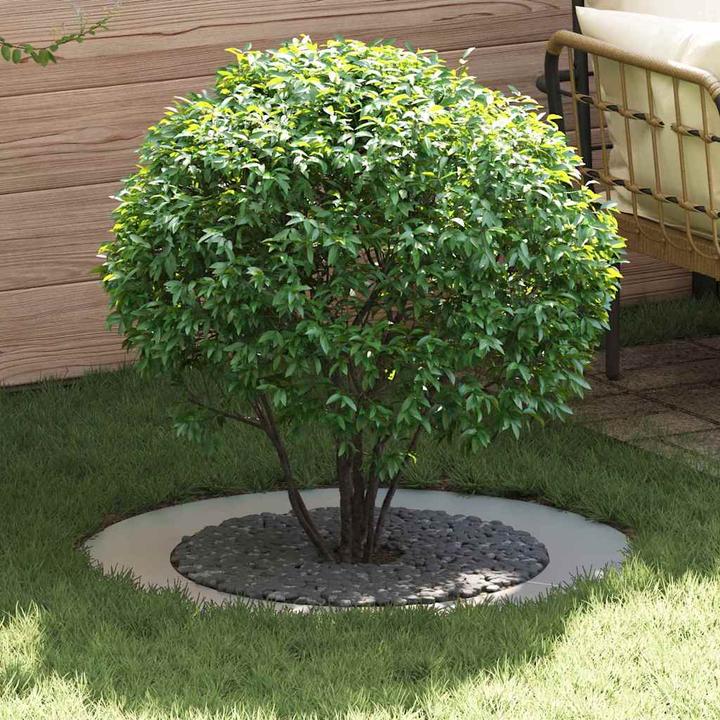 Image du produit vidaXL Dekorativer Baum