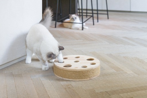 Immagine prodotto Designed by Lotte Giocattolo per gatti Raya (Catmint giocattolo)
