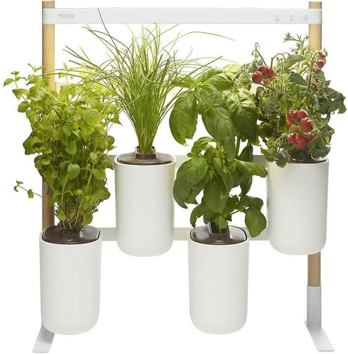 Prêt à Pousser Modulo 2