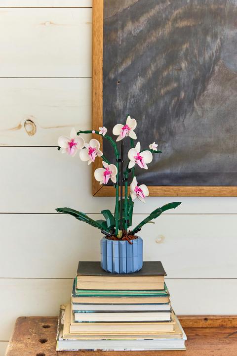 Immagine prodotto LEGO Orchidea (10311, LEGO Botanical)