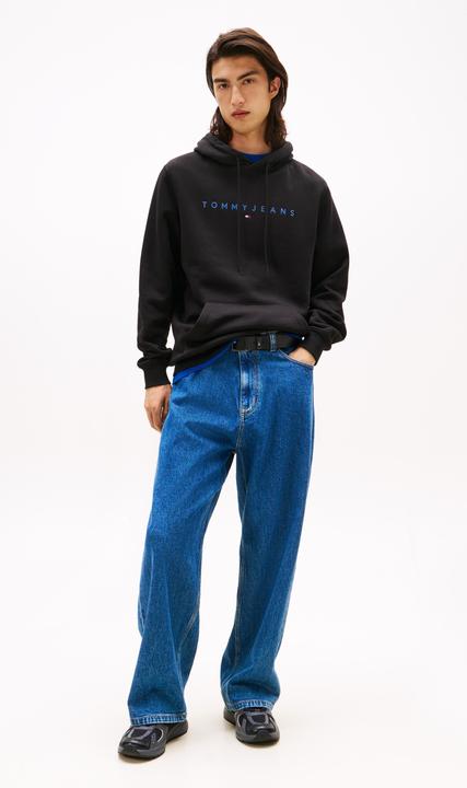 Productafbeelding Tommy Jeans Tjm Reg Linear Logo Hoodie Ext (L)