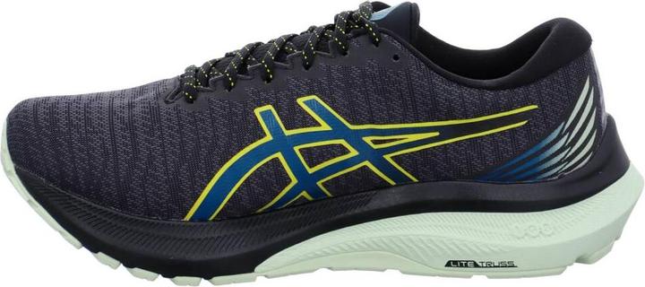 Image du produit ASICS Performance GT-2000 11 (42)