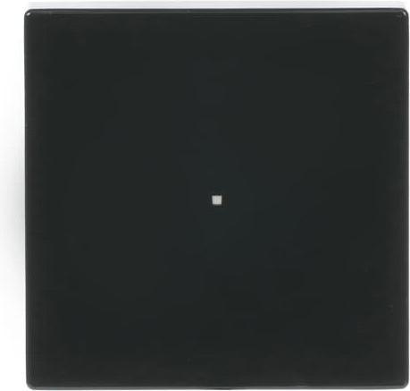 Produktbild Busch-Jaeger Wippe